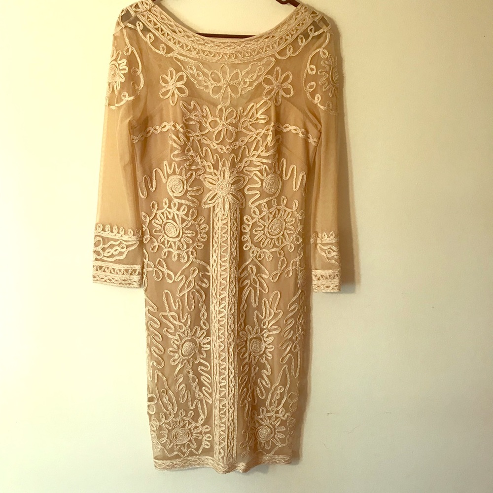 Sheer laced mid-sleeve dress